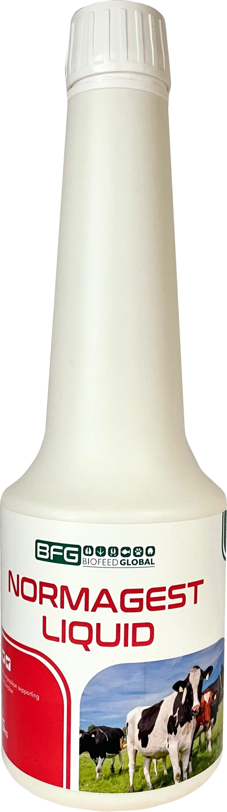normagest liquid